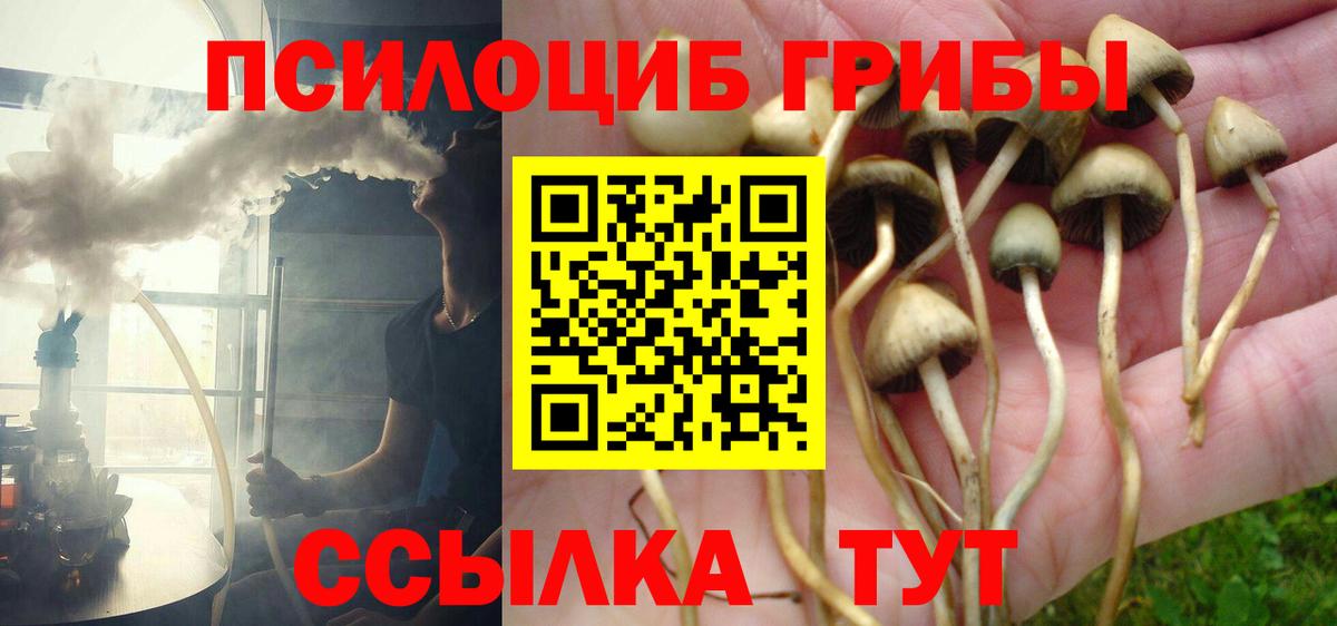 Псилоцибиновые грибы Magic Shrooms  Псилоцибиновые грибы мухоморы  Ижевск  Вход с VPN 